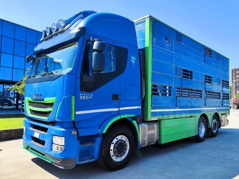 IVECO AS260S56Y/PS TRASPORTO ANIMALI - Lombardia Truck